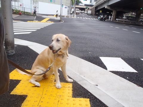 梅雨らしい日がつづく_f0052277_1394924.jpg