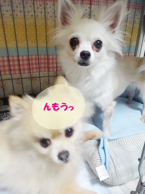 f0207979_011820.jpg