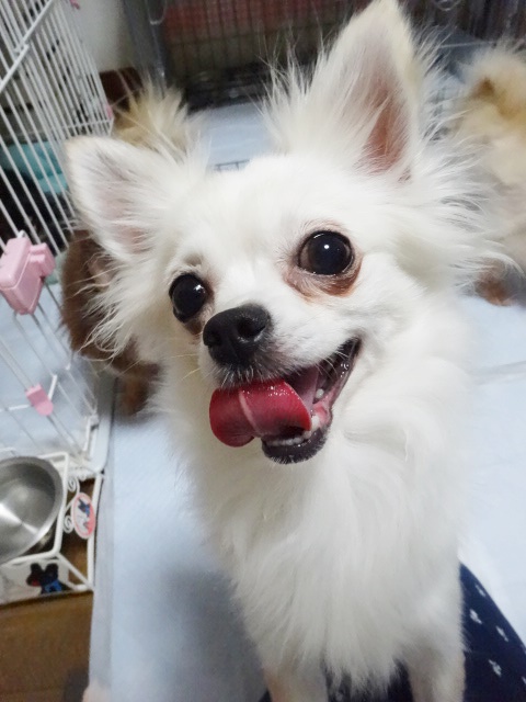 f0207979_0183692.jpg