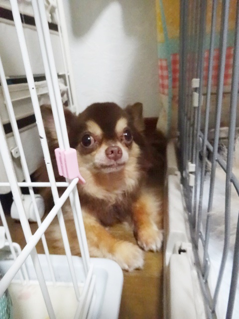 f0207979_0223290.jpg
