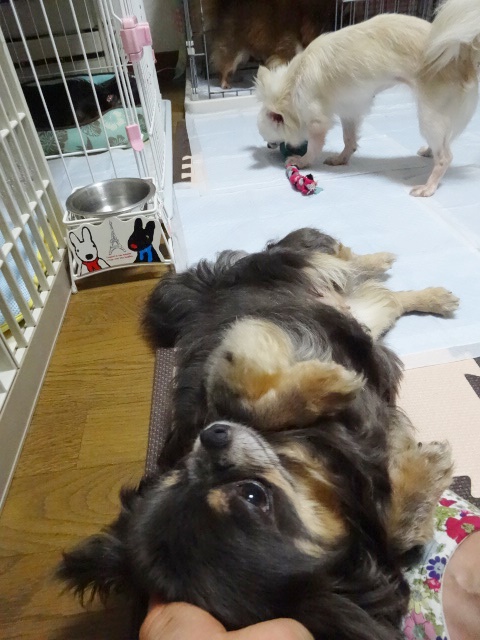 f0207979_0312495.jpg
