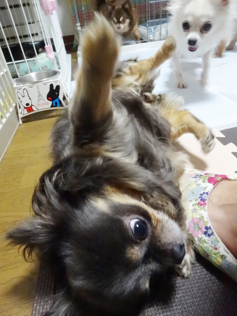 f0207979_0321191.jpg