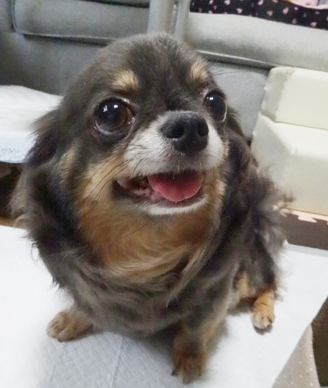 f0207979_03545100.jpg