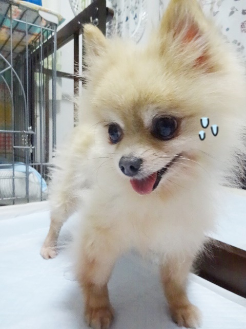 f0207979_0395177.jpg