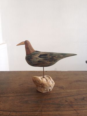 流木の鳥｜針原修