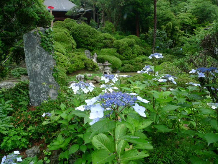c0212083_23185632.jpg