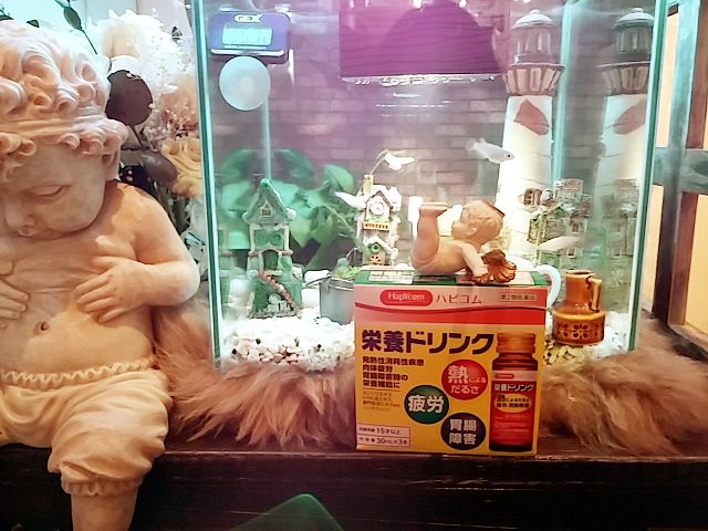 来週のご予約状況。。 & 頂き物!!_b0210688_2040941.jpg