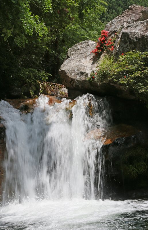 f0000789_19312178.jpg