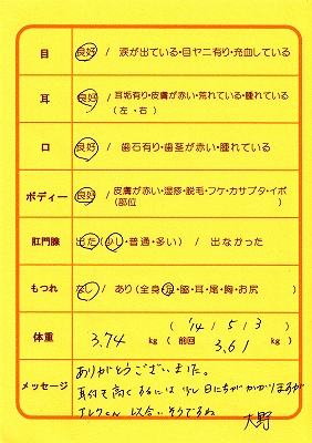 トリミング　6月　（生後　1278日）_e0227996_19071.jpg