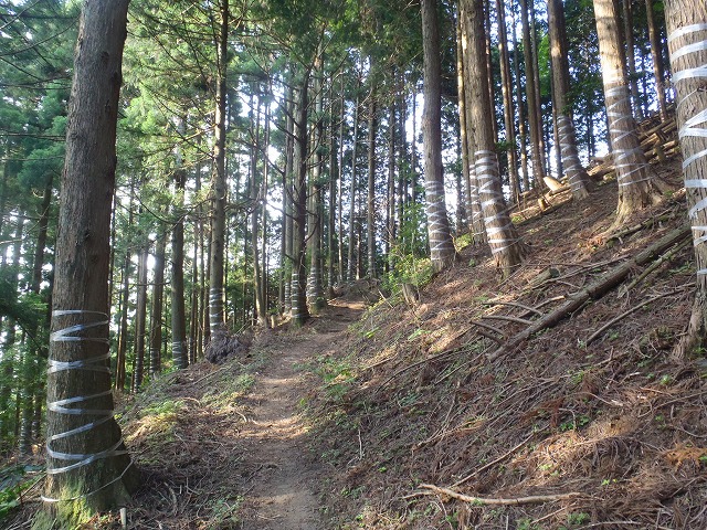 比良山縦走!(前半)_c0147398_12232087.jpg