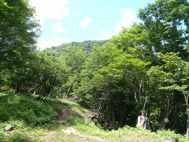 比良山縦走!(前半)_c0147398_12363239.jpg