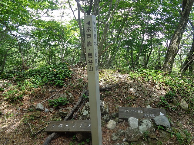比良山縦走!(前半)_c0147398_12441352.jpg