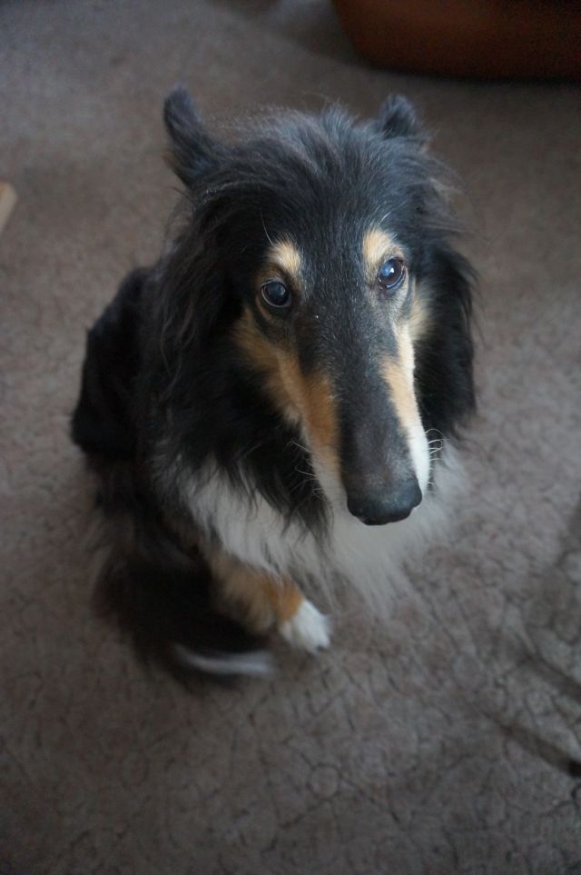 e0039206_2214891.jpg