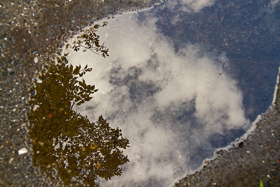 b0010915_20581121.jpg
