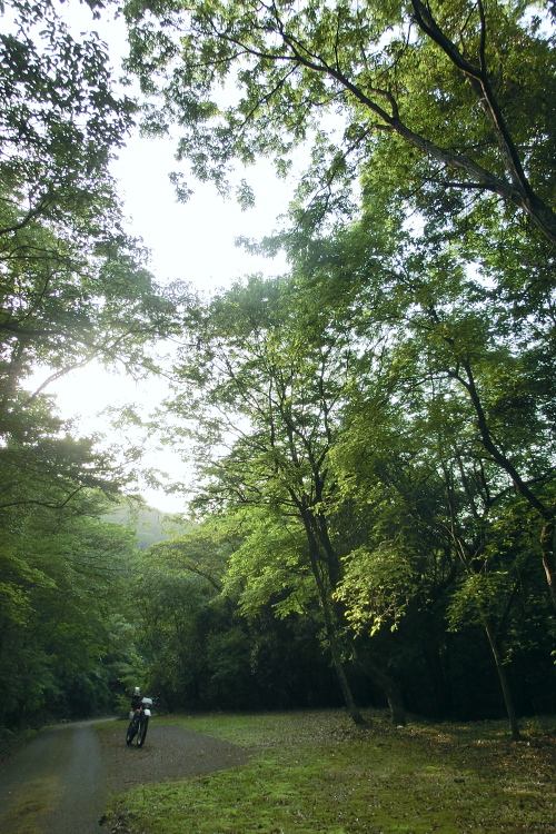 時間があると山の中へ。_f0248120_2040560.jpg