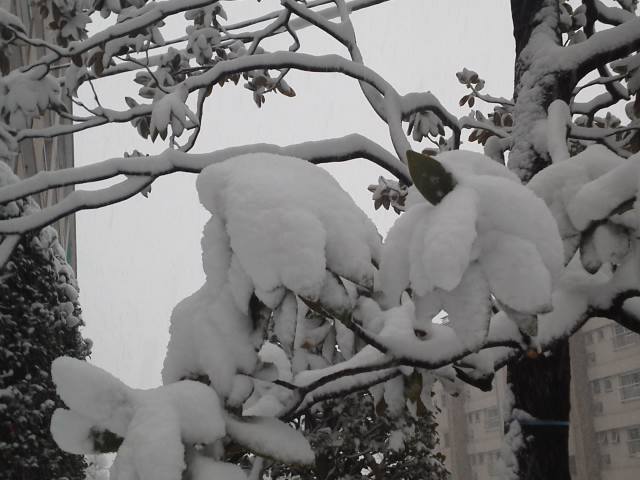 ●人生初の豪雪・・・過去に遡る日記③_a0268821_23113487.jpg