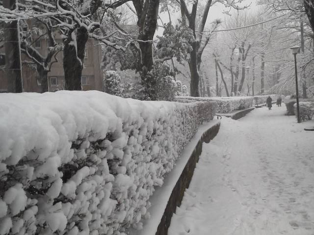 ●人生初の豪雪・・・過去に遡る日記③_a0268821_23141555.jpg