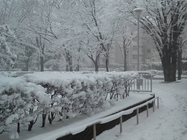 ●人生初の豪雪・・・過去に遡る日記③_a0268821_23142577.jpg