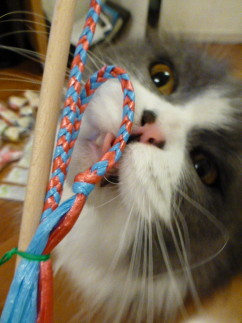スーパーねこ友のプレゼント_e0237625_1765495.jpg