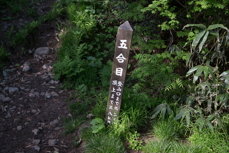 b0243727_11454412.jpg