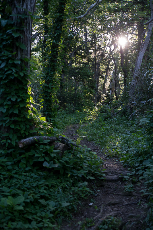 b0243727_649031.jpg