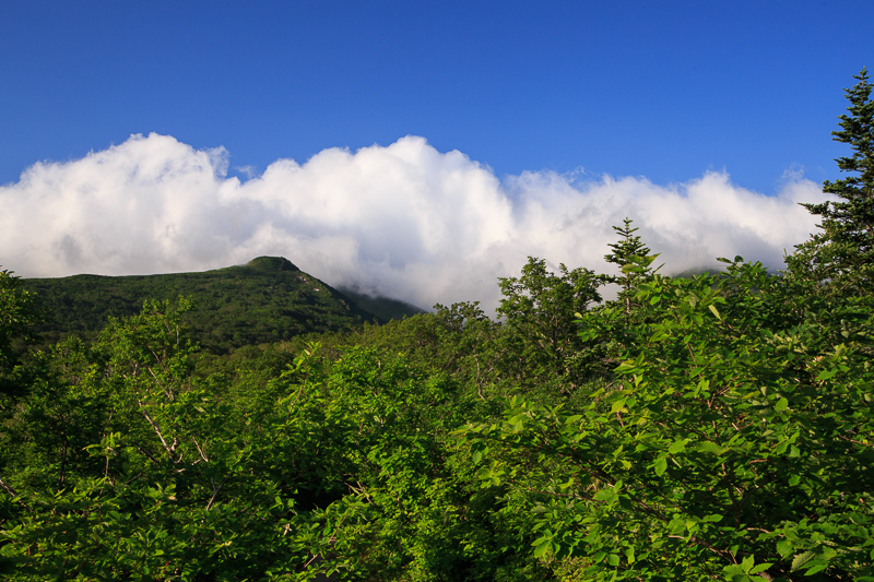 b0243727_652494.jpg