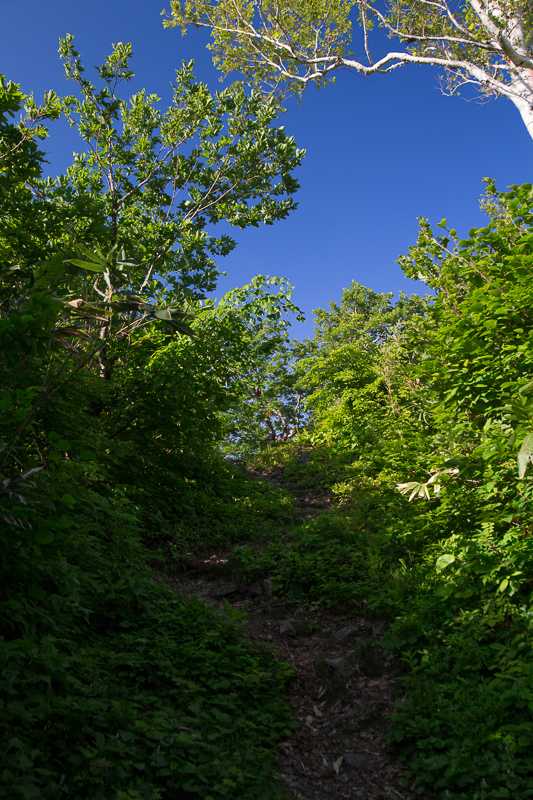 b0243727_65393.jpg