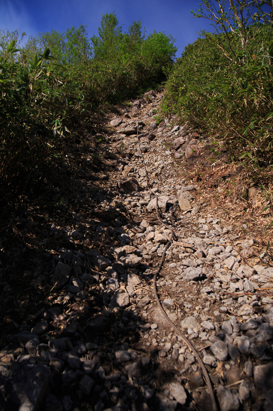 b0243727_7133478.jpg