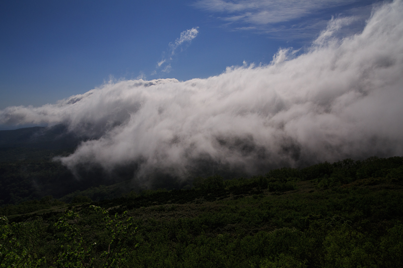 b0243727_717561.jpg