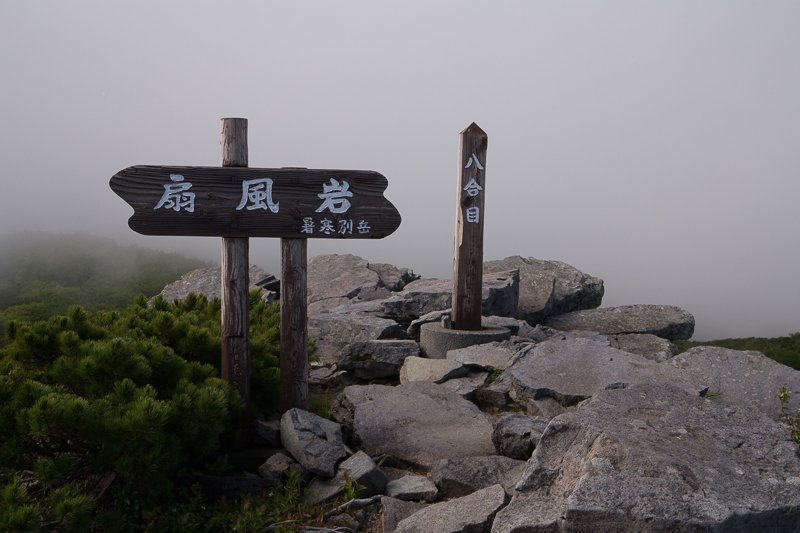 b0243727_7193239.jpg