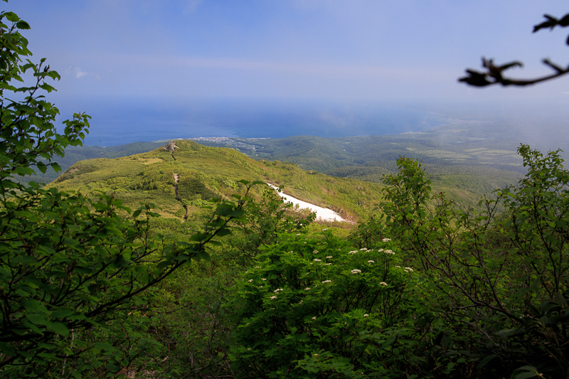 b0243727_7345128.jpg