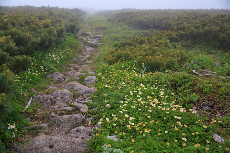 b0243727_7373210.jpg