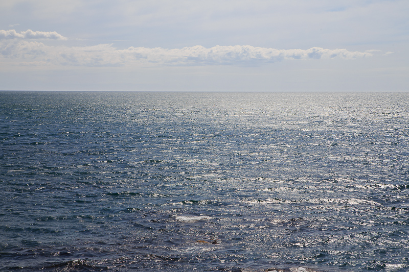 b0243727_843280.jpg