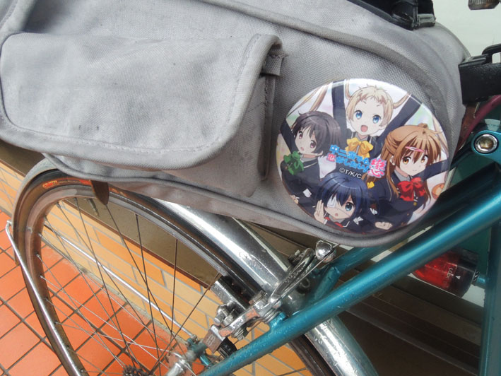 やっぱりブルベは難しい_d0211129_1540248.jpg