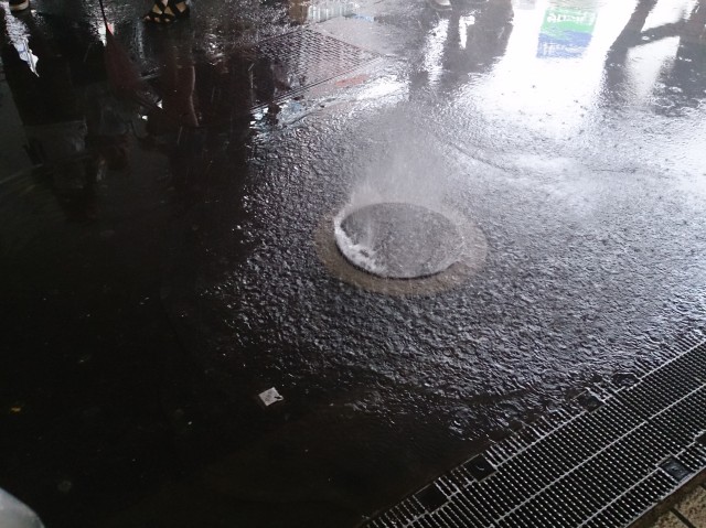 c0065430_02924.jpg