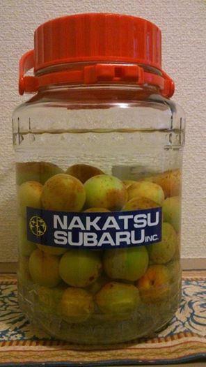 熟成と引き際_f0076731_22174847.jpg
