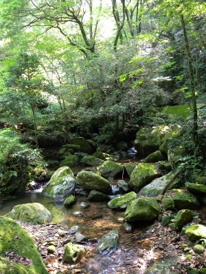 初めての黒髪山でお初のクロカミラン！_e0272335_1693621.jpg