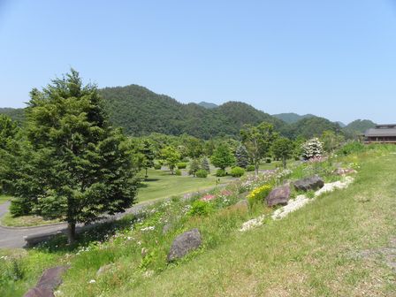 最近の散歩道_b0206037_19312198.jpg