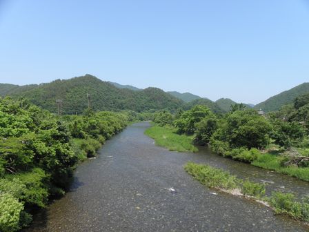 最近の散歩道_b0206037_1931598.jpg