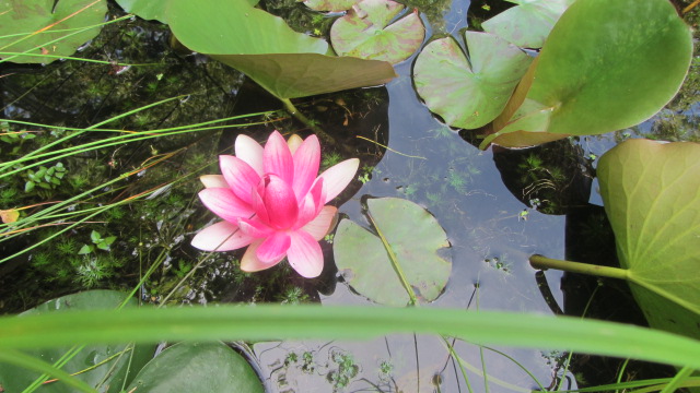 b0247153_02085870.jpg