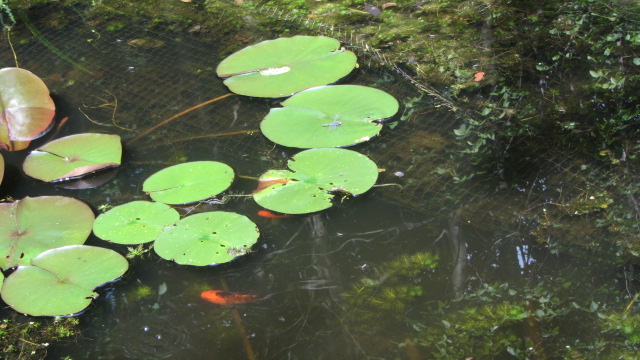 b0247153_02142406.jpg