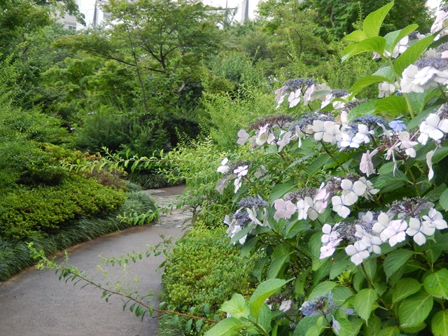 　　　　　　　　　　　　　　　　　六本木は雨でした　６月２７日_d0075453_20461913.jpg