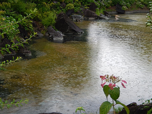 　　　　　　　　　　　　　　　　　六本木は雨でした　６月２７日_d0075453_20524295.jpg