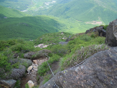 鳴子山、白口岳、オオヤマレンゲ　2014.6.29_f0356953_2234720.jpg