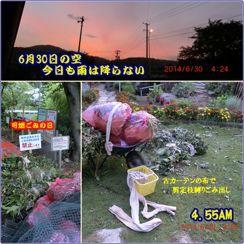 d0007071_22272671.jpg