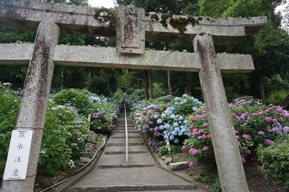 b0244372_10473973.jpg