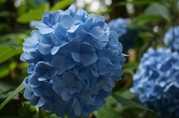 b0244372_10513759.jpg