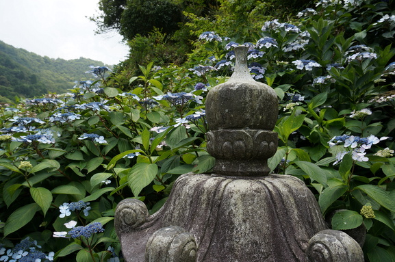 b0244372_1135491.jpg