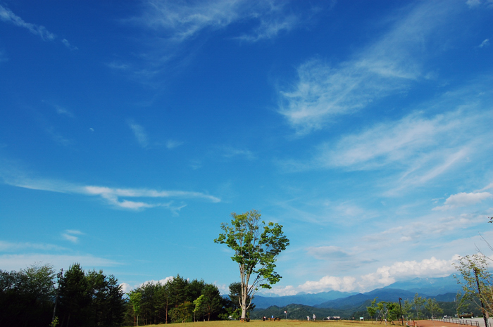 f0194981_03416.jpg