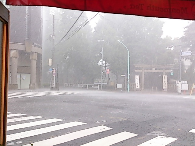 『雷雨』_a0075684_032139.jpg